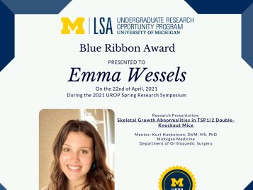 2021 UROP Spring Symposium Blue Ribbon IG 1 